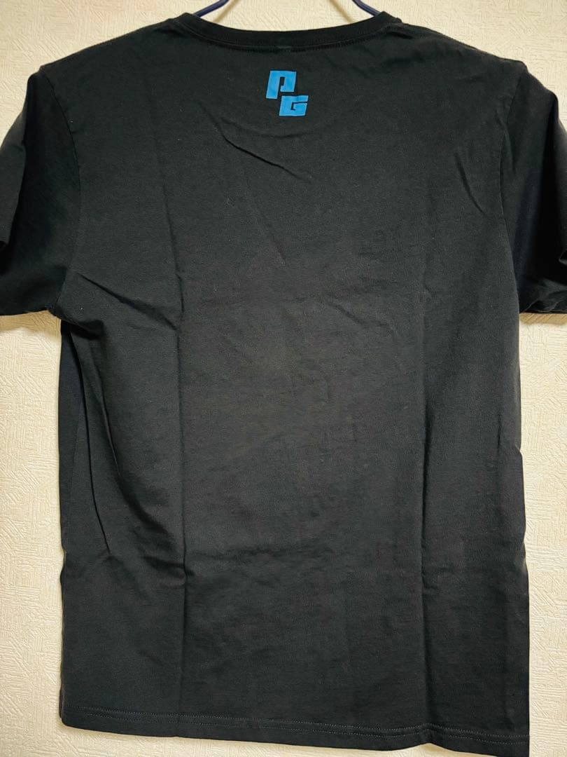 ポルノグラフィティ ツアーTシャツ　10枚まとめ売り