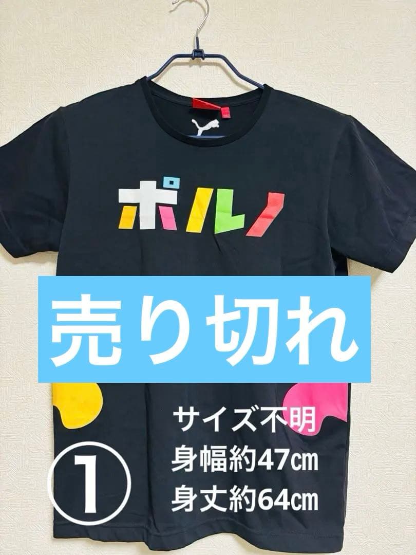 ポルノグラフィティ ツアーTシャツ　10枚まとめ売り