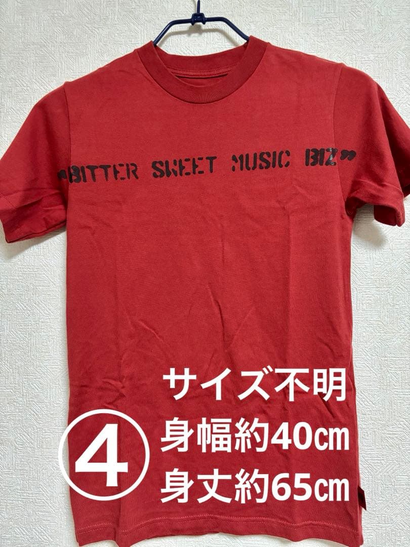 ポルノグラフィティ ツアーTシャツ　10枚まとめ売り
