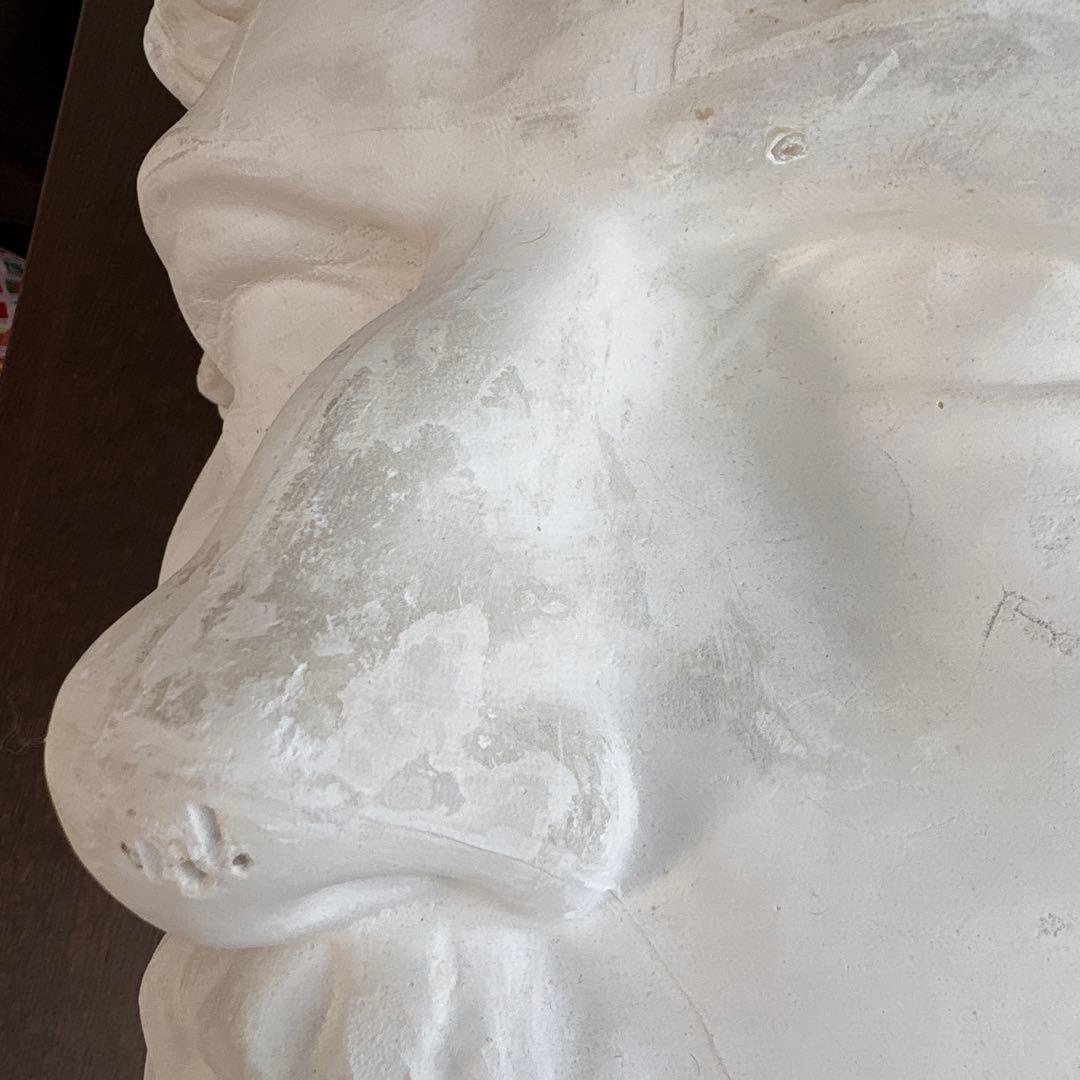 石膏像　ルキウス　大顔面　美術　壁掛け