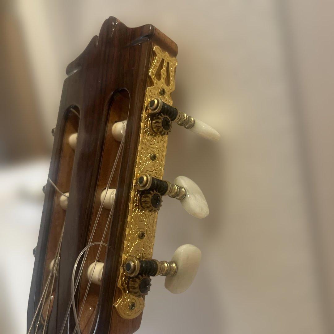 【激レア】Martinez バスギター アコースティックギター 単板 ケネスヒル