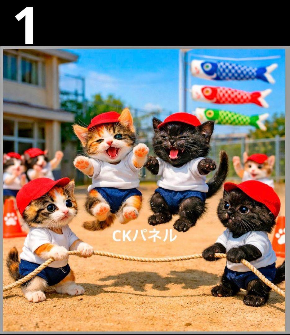 オーダーページ　ハンカチ470 にゃん綱引き柄ハンドメイド2/27
