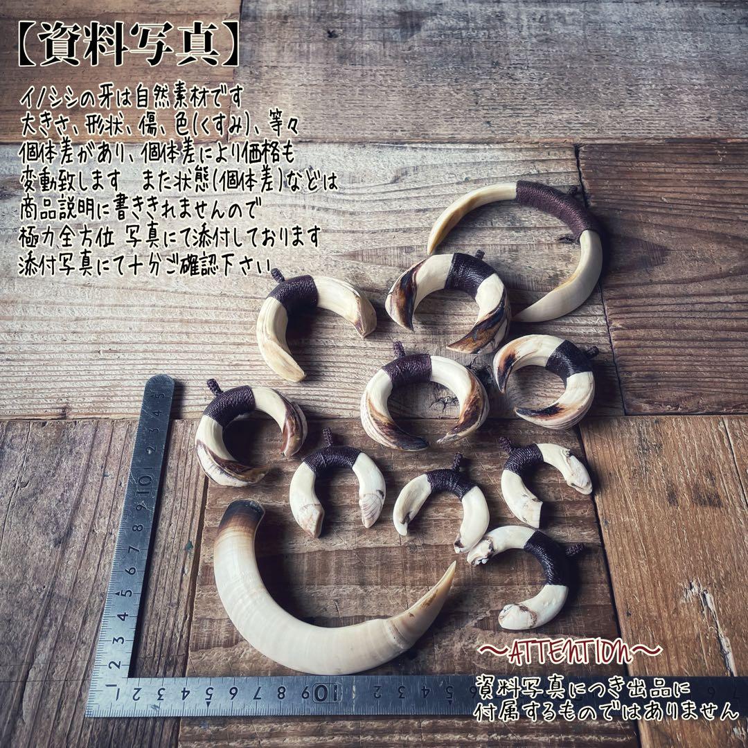 《Wild boar's teeth 》〜Naja風 / トライバルネックレス