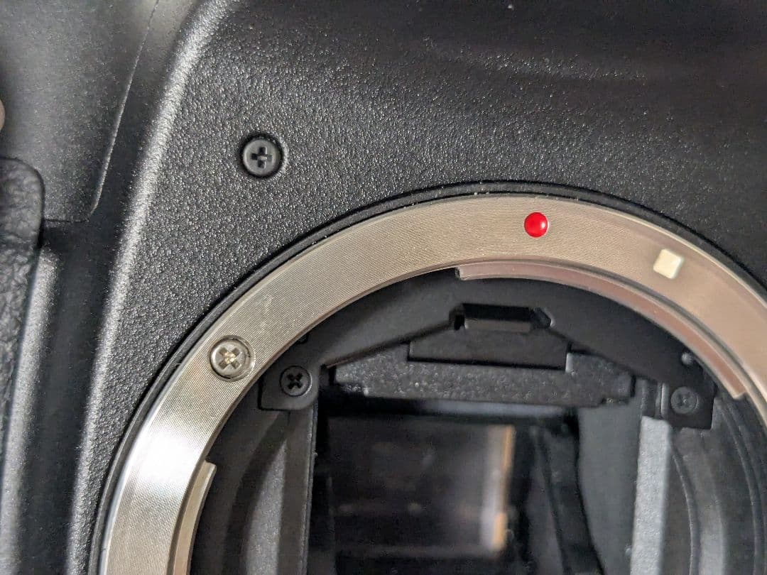 キヤノン CANON EOS 50D & バッテリーグリップ BG-E2N