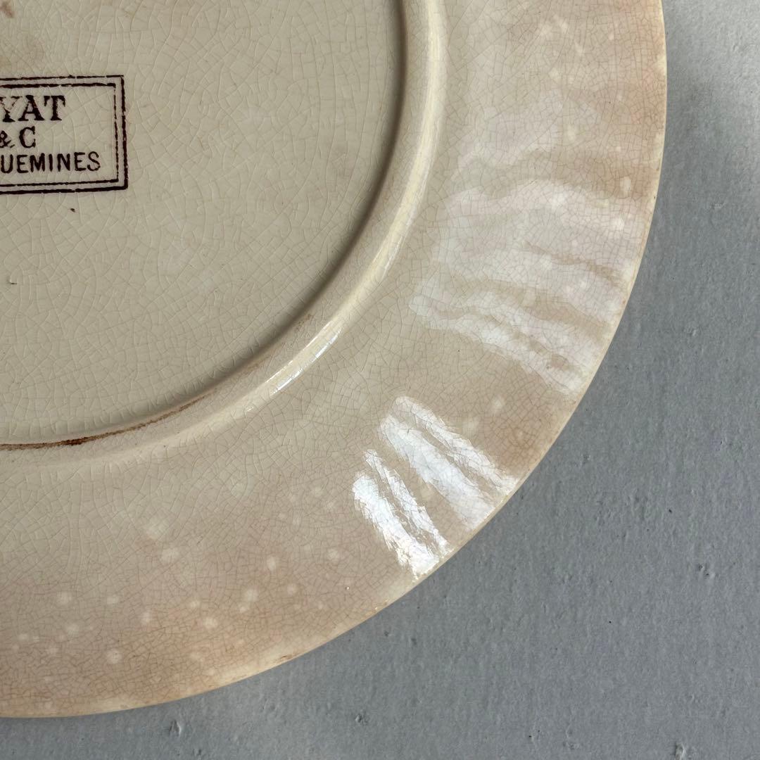 専用❣️【訳あり】サルグミンヌ 枯れ ROYET デザートプレート 同梱