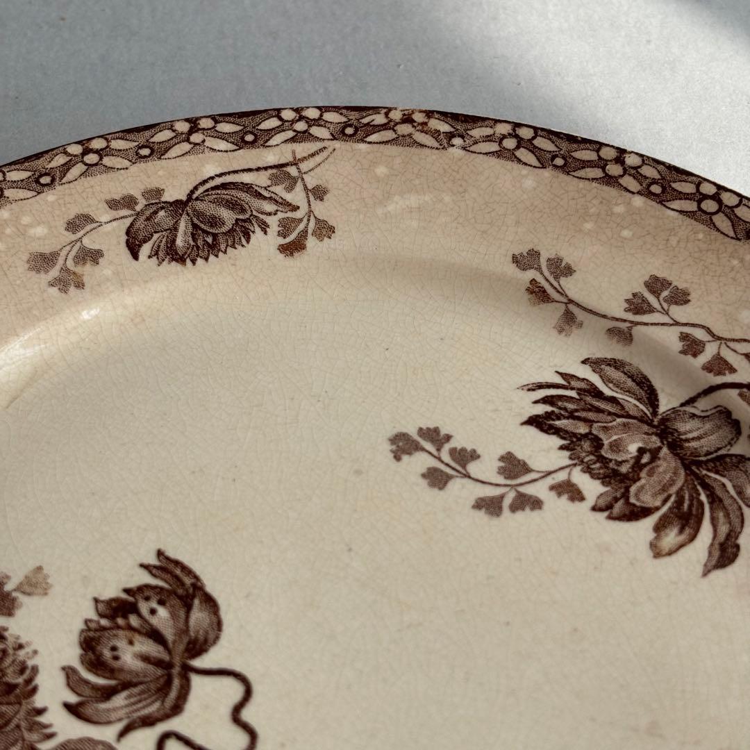 専用❣️【訳あり】サルグミンヌ 枯れ ROYET デザートプレート 同梱