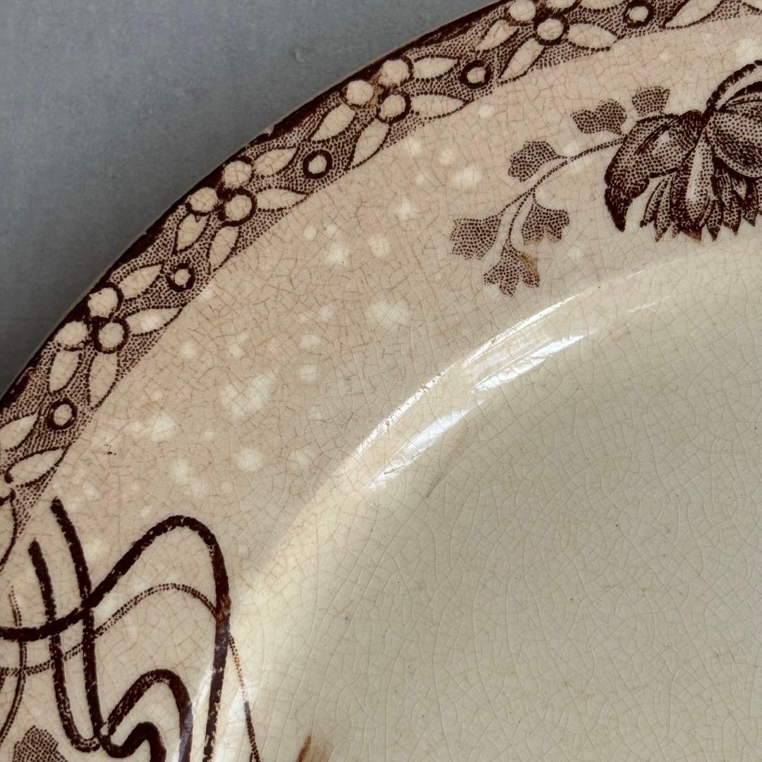 専用❣️【訳あり】サルグミンヌ 枯れ ROYET デザートプレート 同梱