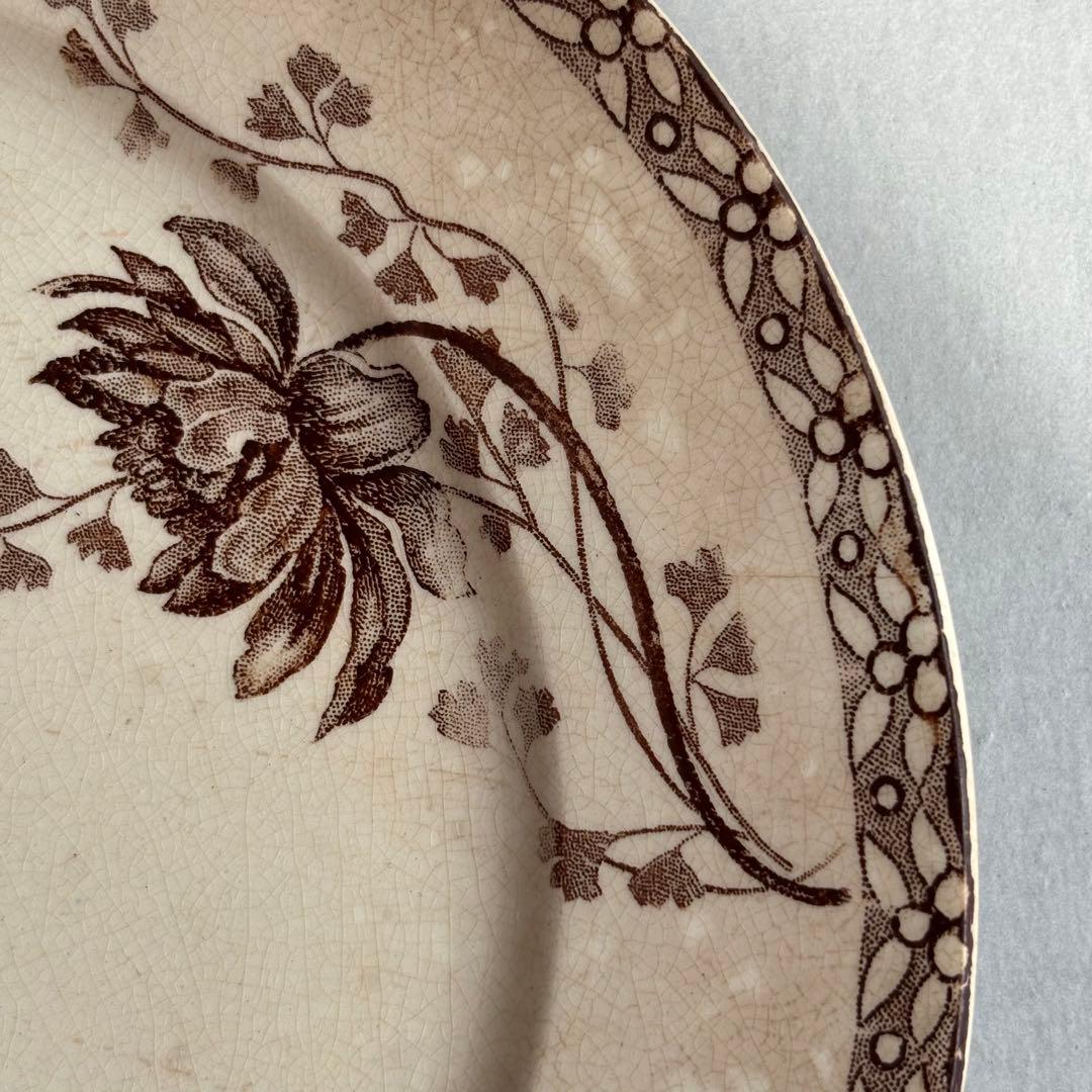 専用❣️【訳あり】サルグミンヌ 枯れ ROYET デザートプレート 同梱