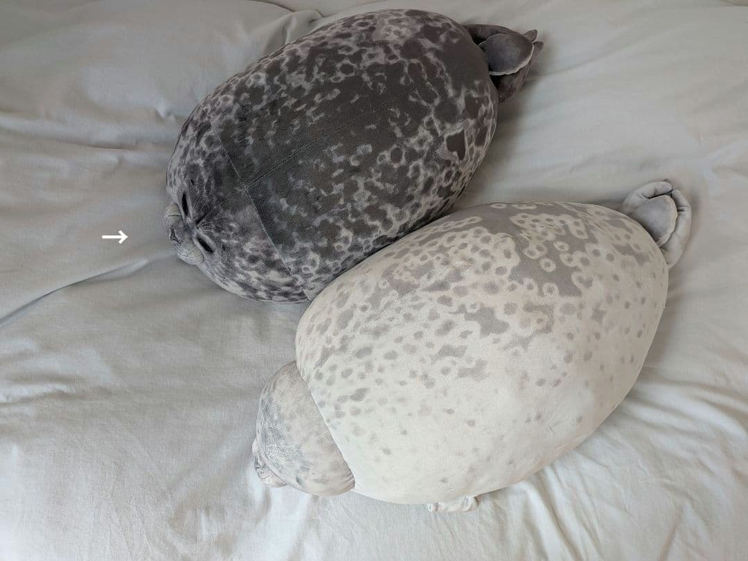 YOU+MORE! おまんじゅうアザラシユキちゃん もっちりビッグクッション