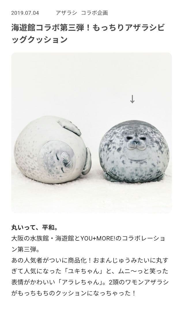 YOU+MORE! おまんじゅうアザラシユキちゃん もっちりビッグクッション