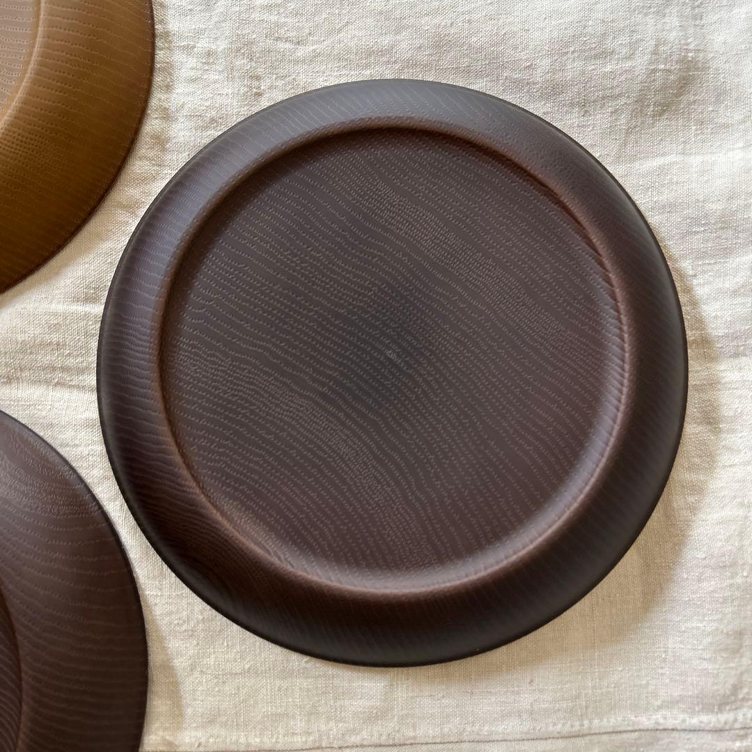 Alpen×カレーハウスCoCo壱番屋 オリジナル カレープレート