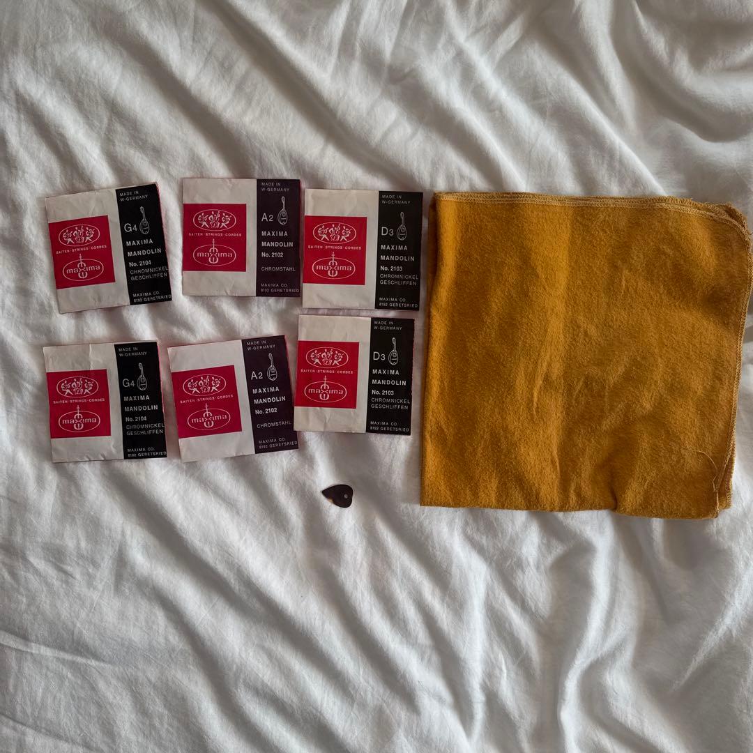 石川捷二郎　マンドリン　ハードケース・ピック、弦付き　9959A