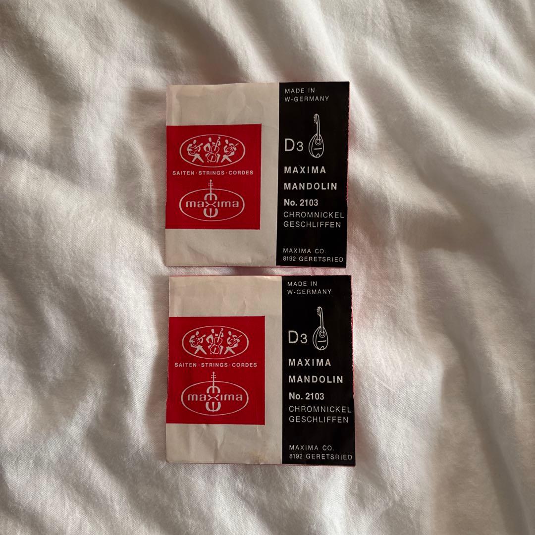 石川捷二郎　マンドリン　ハードケース・ピック、弦付き　9959A