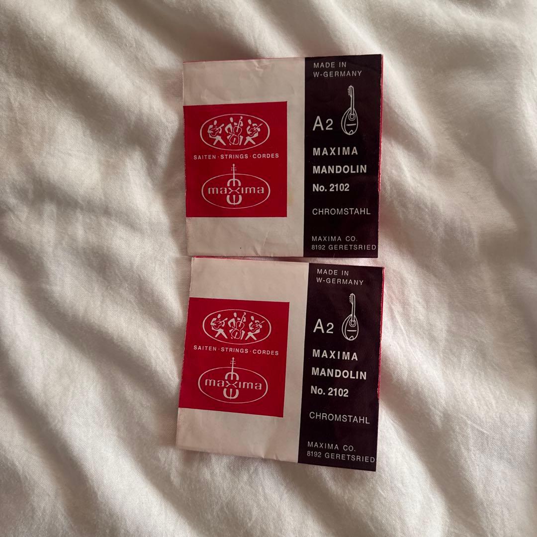 石川捷二郎　マンドリン　ハードケース・ピック、弦付き　9959A