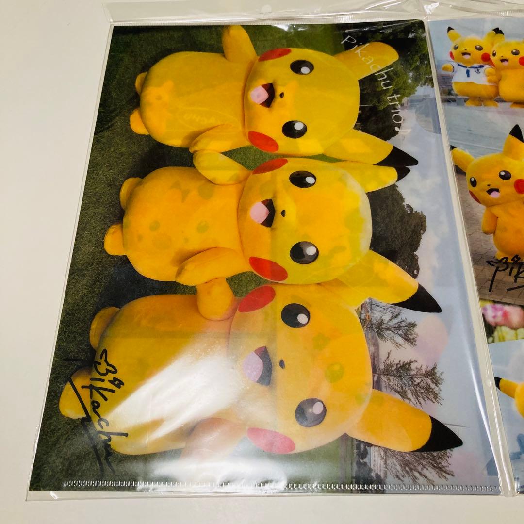 未開封✳️ポケモン『A4クリアファイル4枚』シロナ/カトレア/ポケモンセンター限定