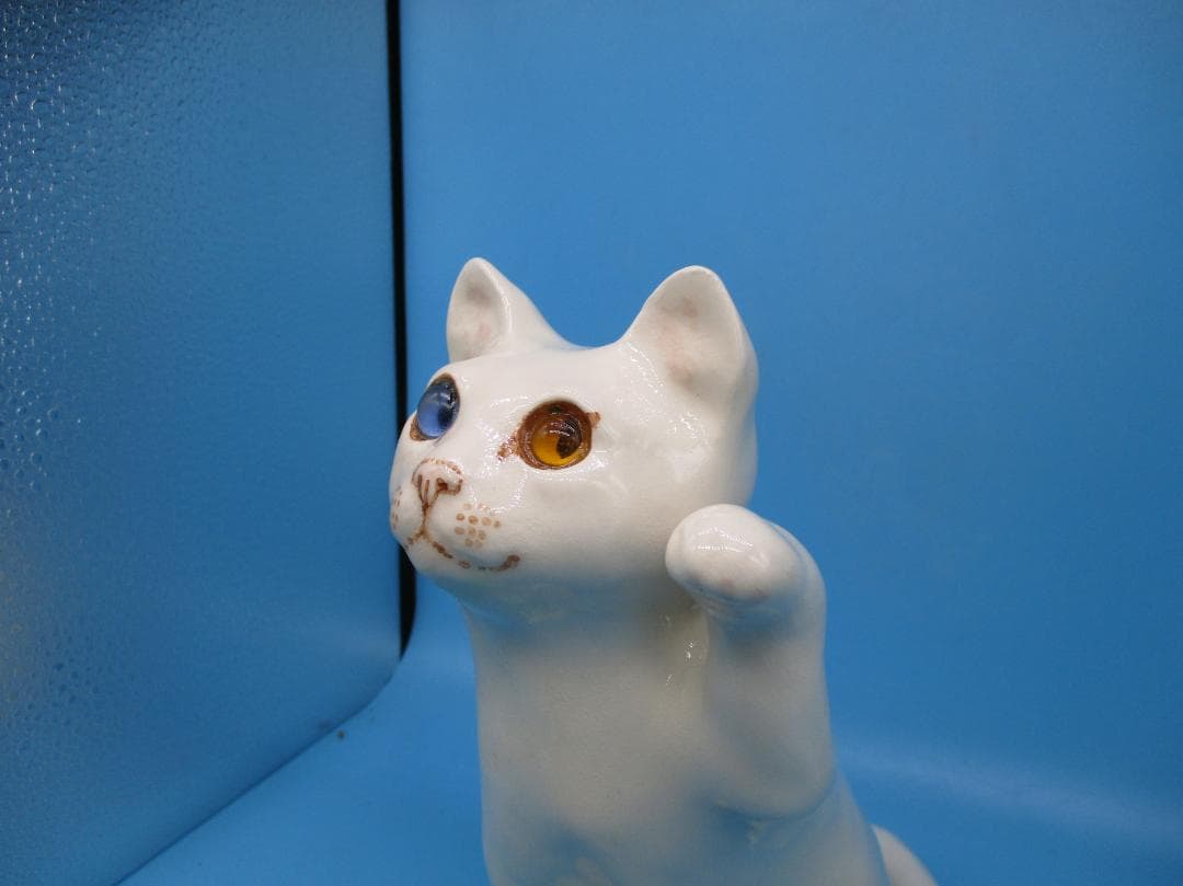 オッドアイの白猫ウィンスタンレイ ケンジントン キャット サイズ3NO5