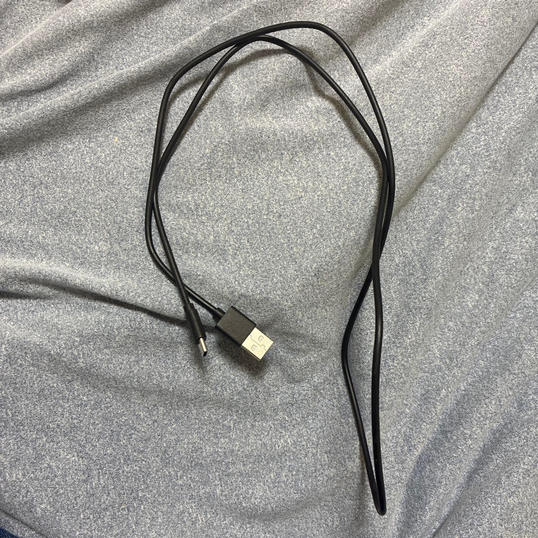 ポータブルプレーヤー sky Echo Mini