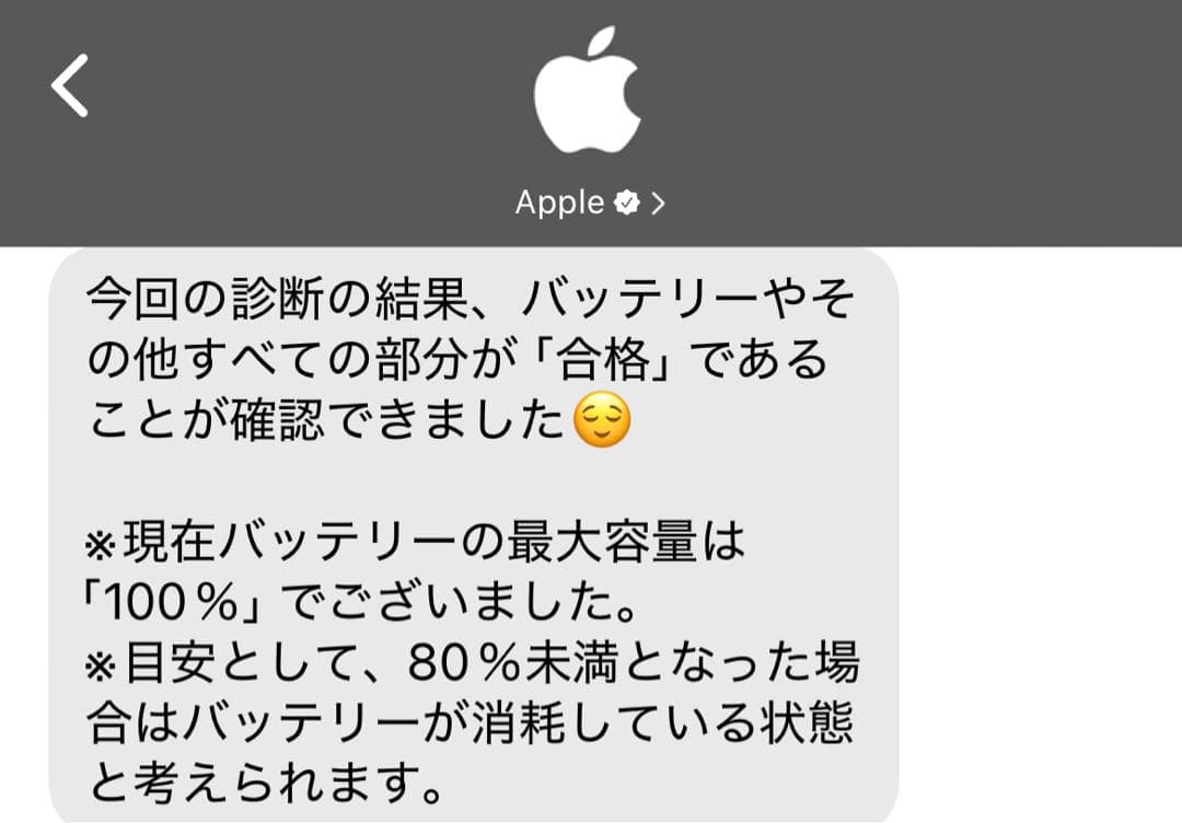 Apple iPad mini スペースグレイ 本体