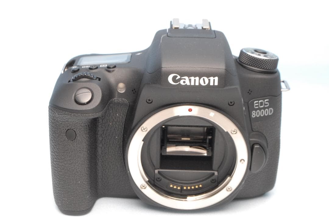 ✨美品セット✨キヤノン EOS 8000D ダブルレンズ 付属品充実 コスパ抜群
