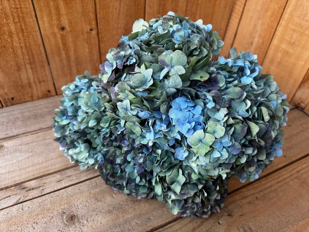 ムチャチャチャチャーナ様 リクエスト 2点 まとめ商品