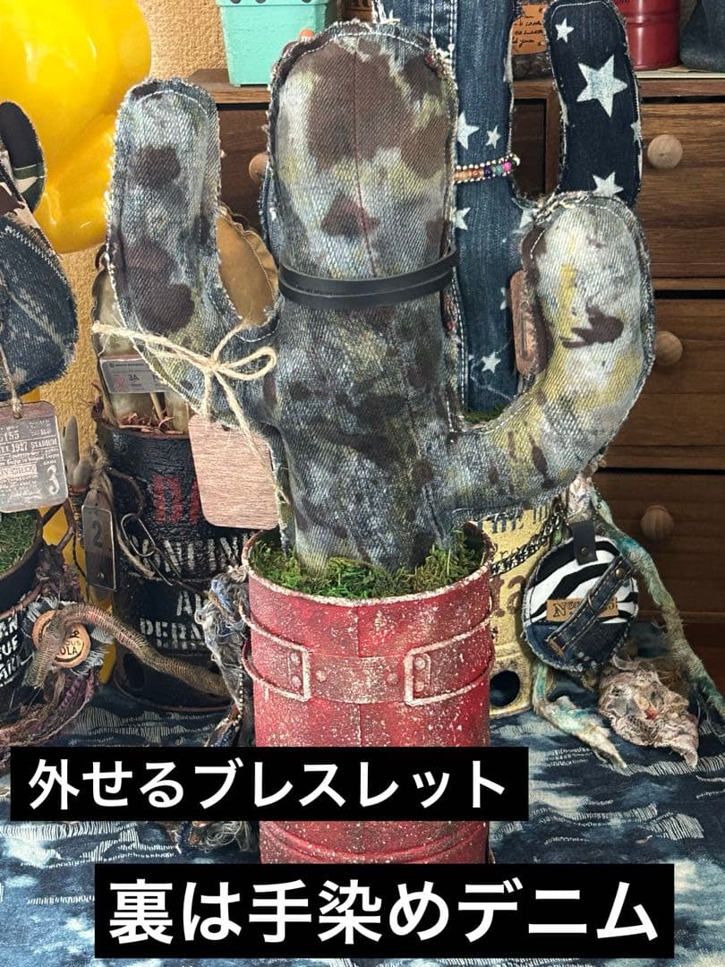 コラボ‼️メガビッグ男前サボちゃん　No.216