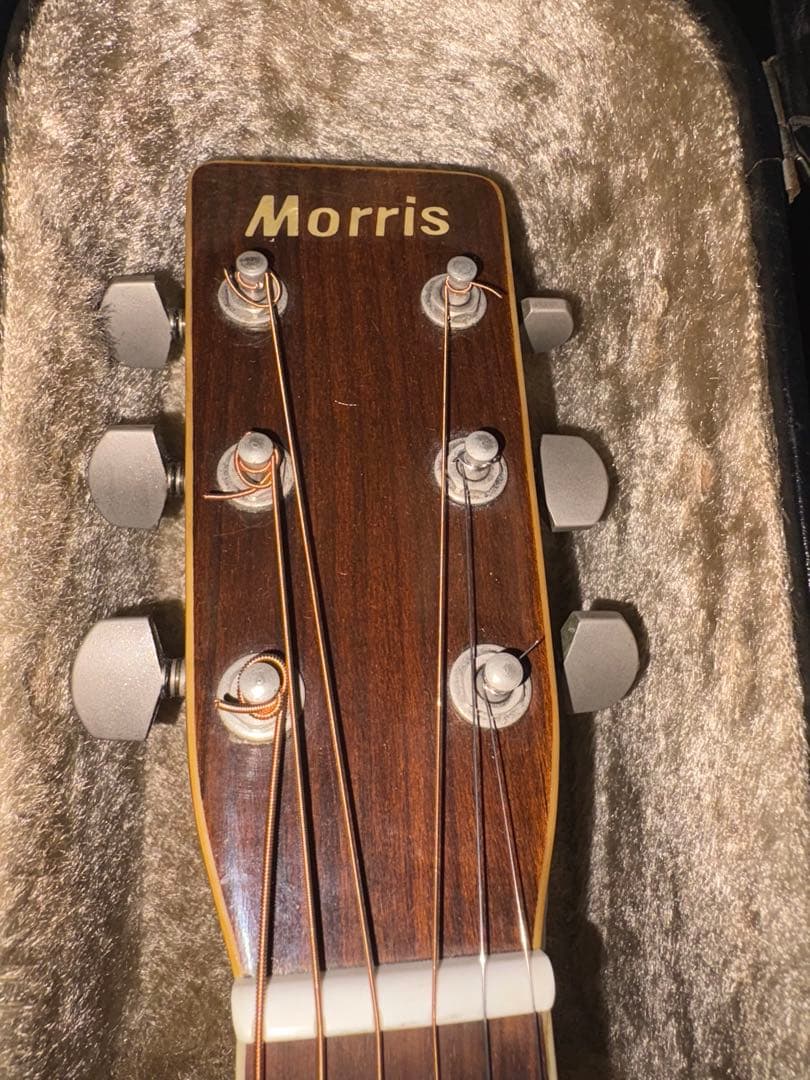 Morris W-30 モーリス　アコースティックギター