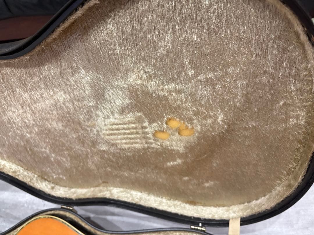 Morris W-30 モーリス　アコースティックギター