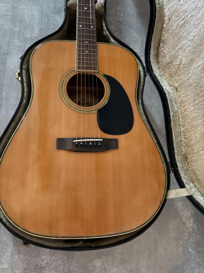 Morris W-30 モーリス　アコースティックギター