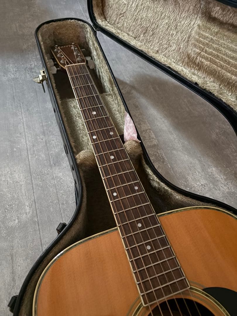 Morris W-30 モーリス　アコースティックギター