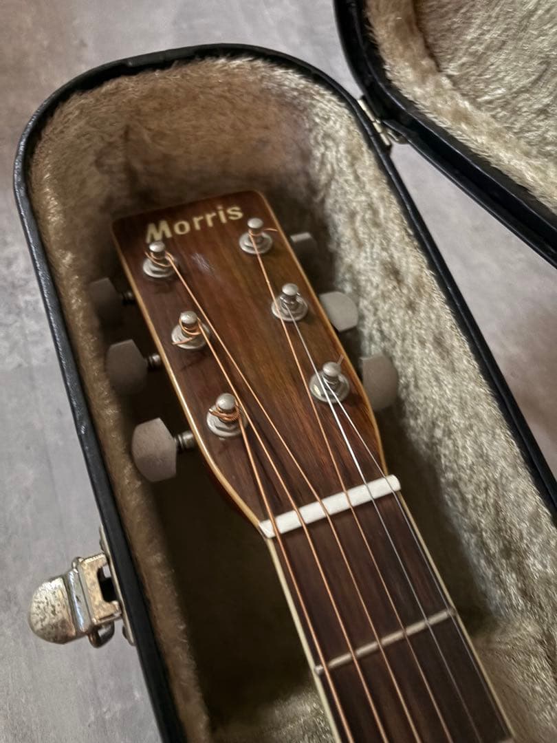 Morris W-30 モーリス　アコースティックギター