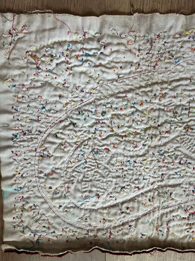 パナマ・クナ族のモラ刺繍、イグアナ？をモチーフ40x31cm
