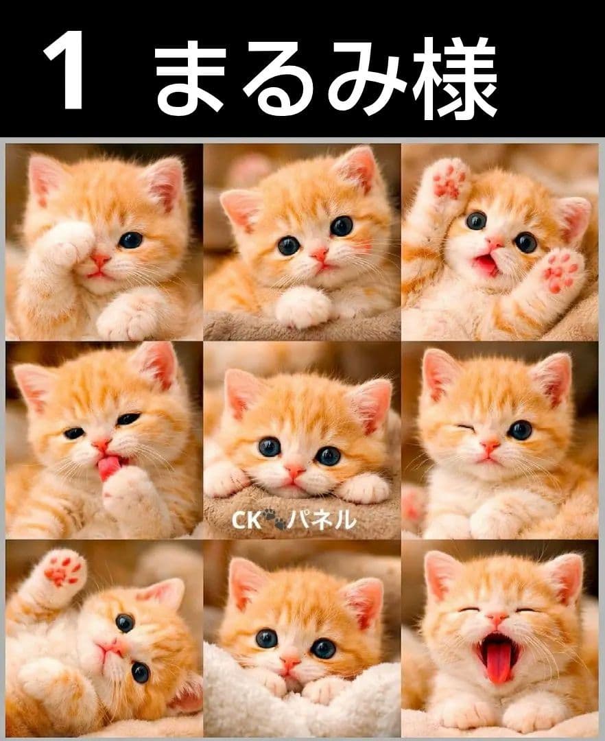 オーダーページ　ハンカチ58 ねこちゃん柄　ハンドメイド3/17