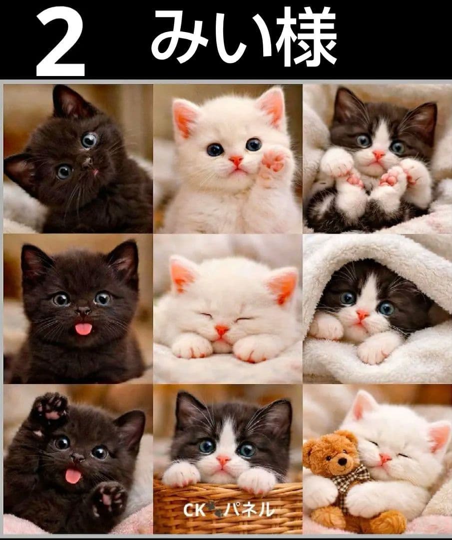 オーダーページ　ハンカチ58 ねこちゃん柄　ハンドメイド3/17