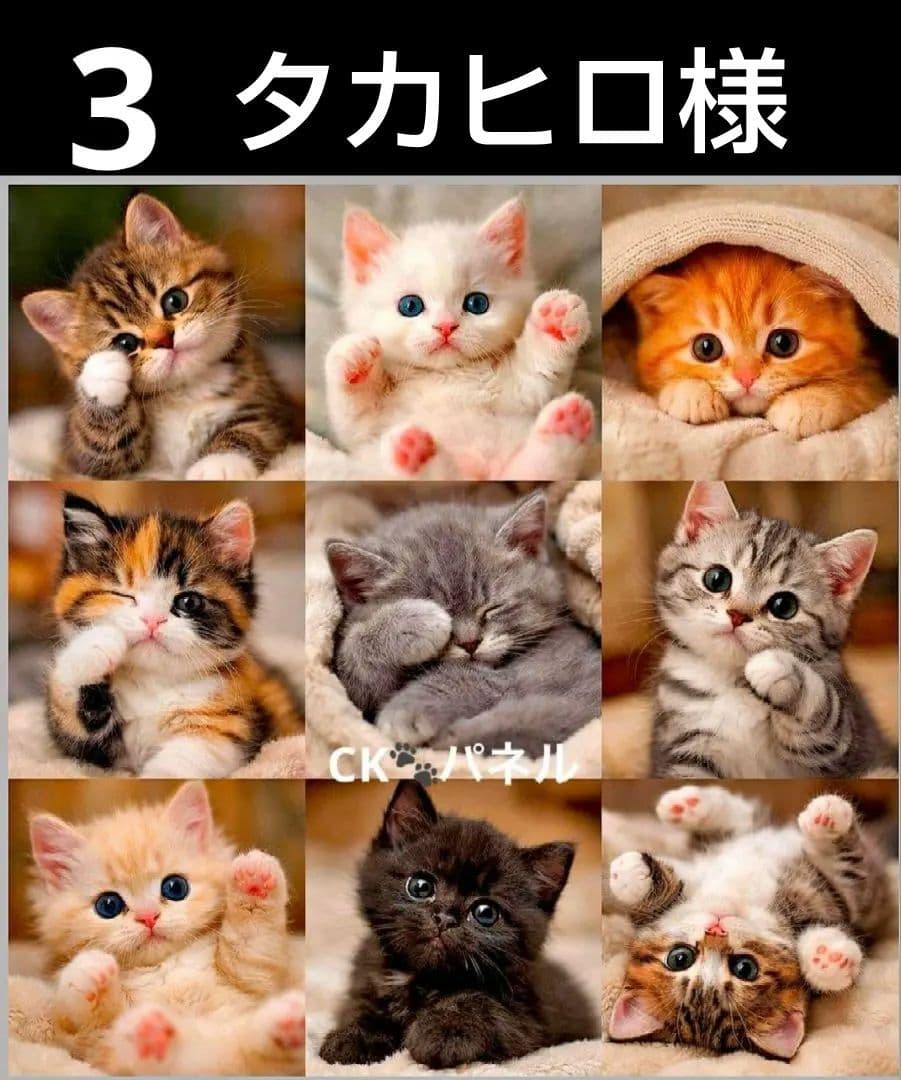 オーダーページ　ハンカチ58 ねこちゃん柄　ハンドメイド3/17