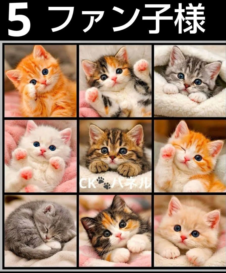 オーダーページ　ハンカチ58 ねこちゃん柄　ハンドメイド3/17