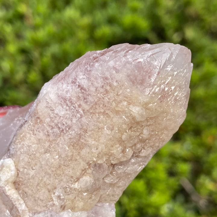 ドリームシクルレムリアンシード クラスター 原石