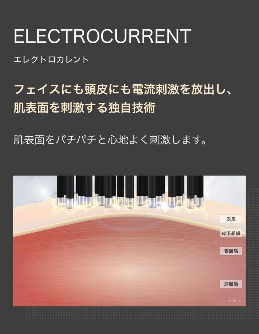 新品未使用｜ヴェーダ ハイパーリフトブラシ　EMS