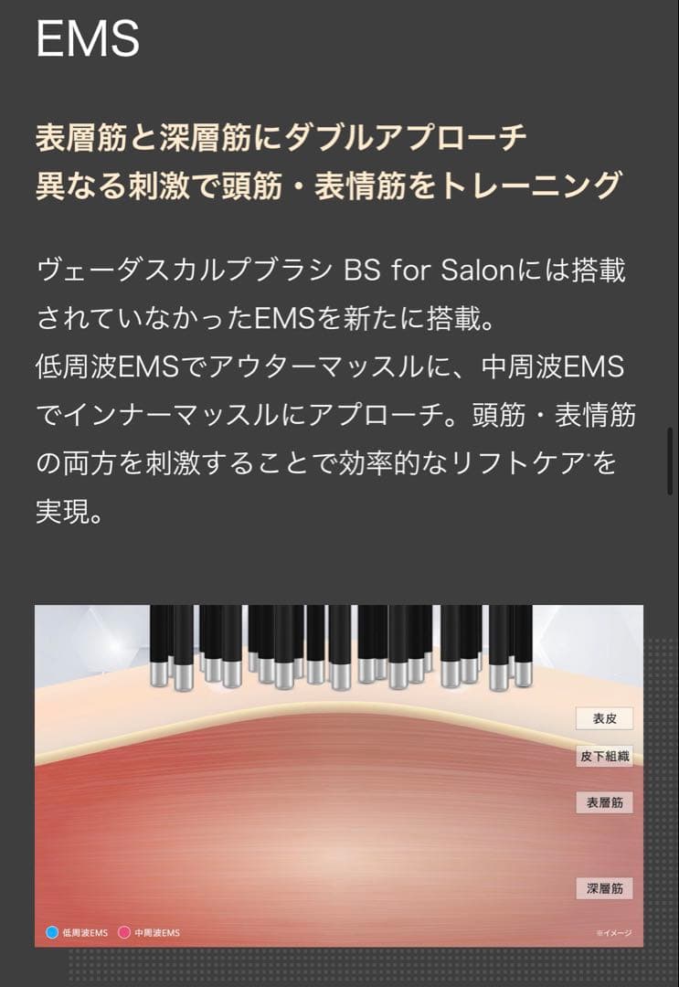 新品未使用｜ヴェーダ ハイパーリフトブラシ　EMS