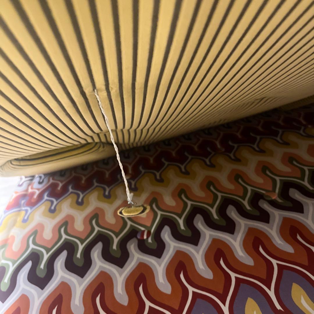 最終価格【定価約75万】Roche Boboisロッシュボボア ソファ