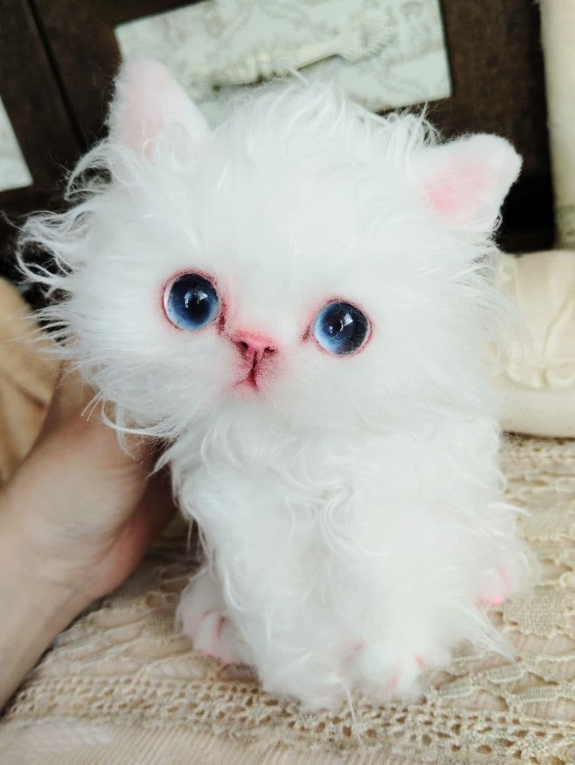 セルカーレックス子猫♡キラちゃん♡癖っ毛♡アートドール♡ぬいぐるみ♡