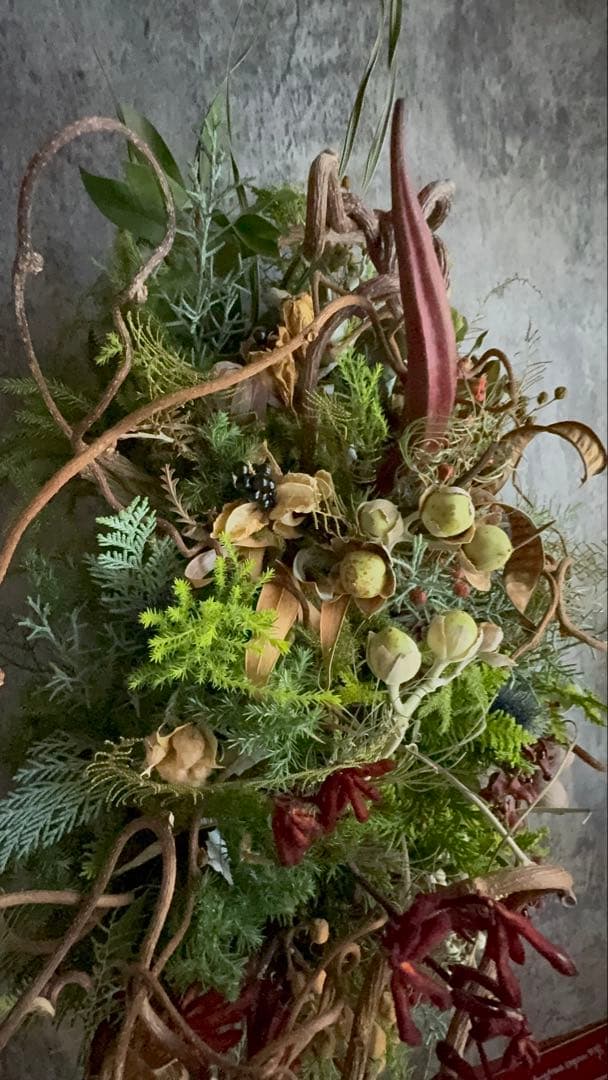 Xmasリース オブジェ 50cm インテリア ドライフラワーリース