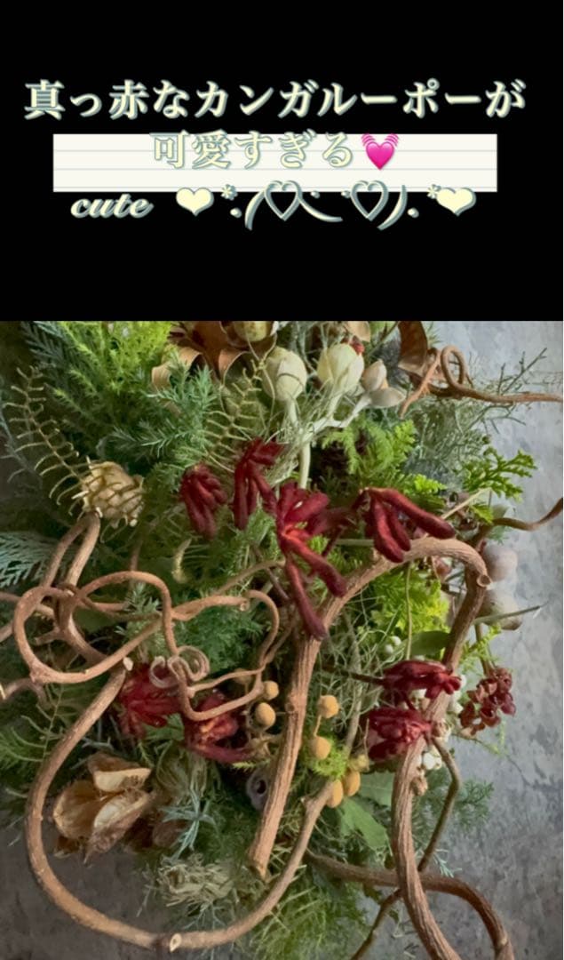 Xmasリース オブジェ 50cm インテリア ドライフラワーリース