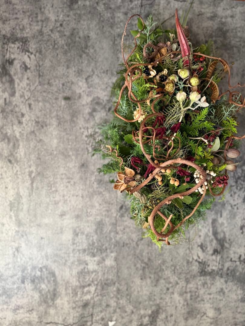 Xmasリース オブジェ 50cm インテリア ドライフラワーリース