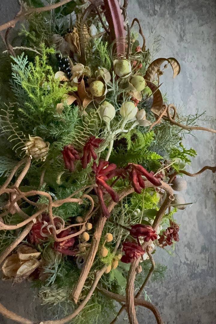 Xmasリース オブジェ 50cm インテリア ドライフラワーリース