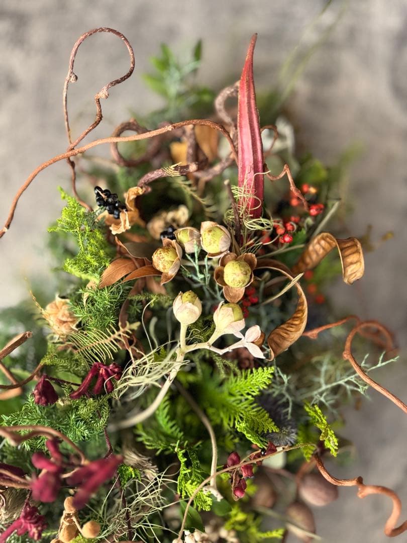 Xmasリース オブジェ 50cm インテリア ドライフラワーリース