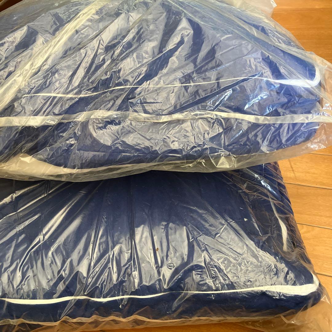 新品未開封❣️お得❣️トゥルースリーパー低反発座布団2個セット