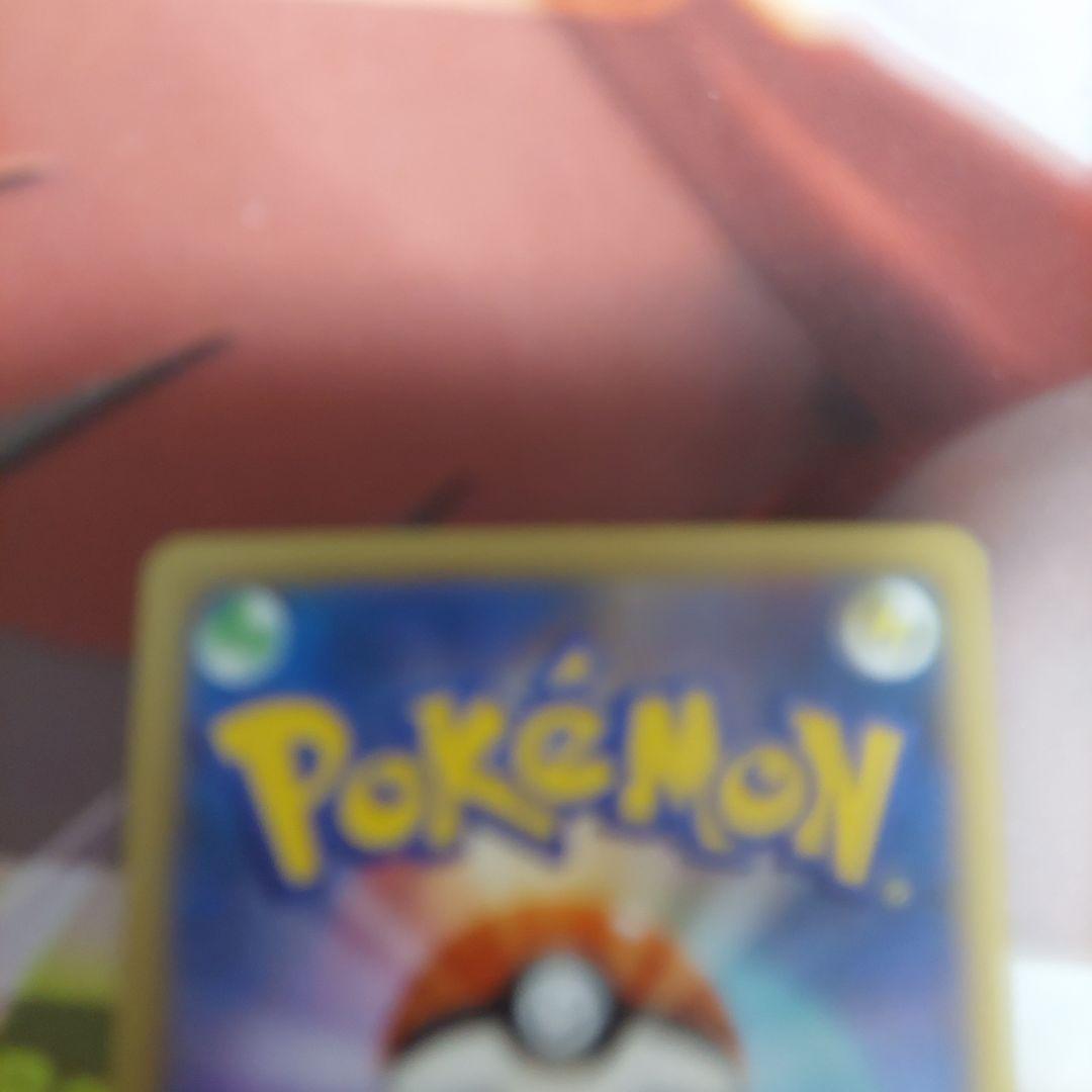 フラダリ サポートカード SR XY