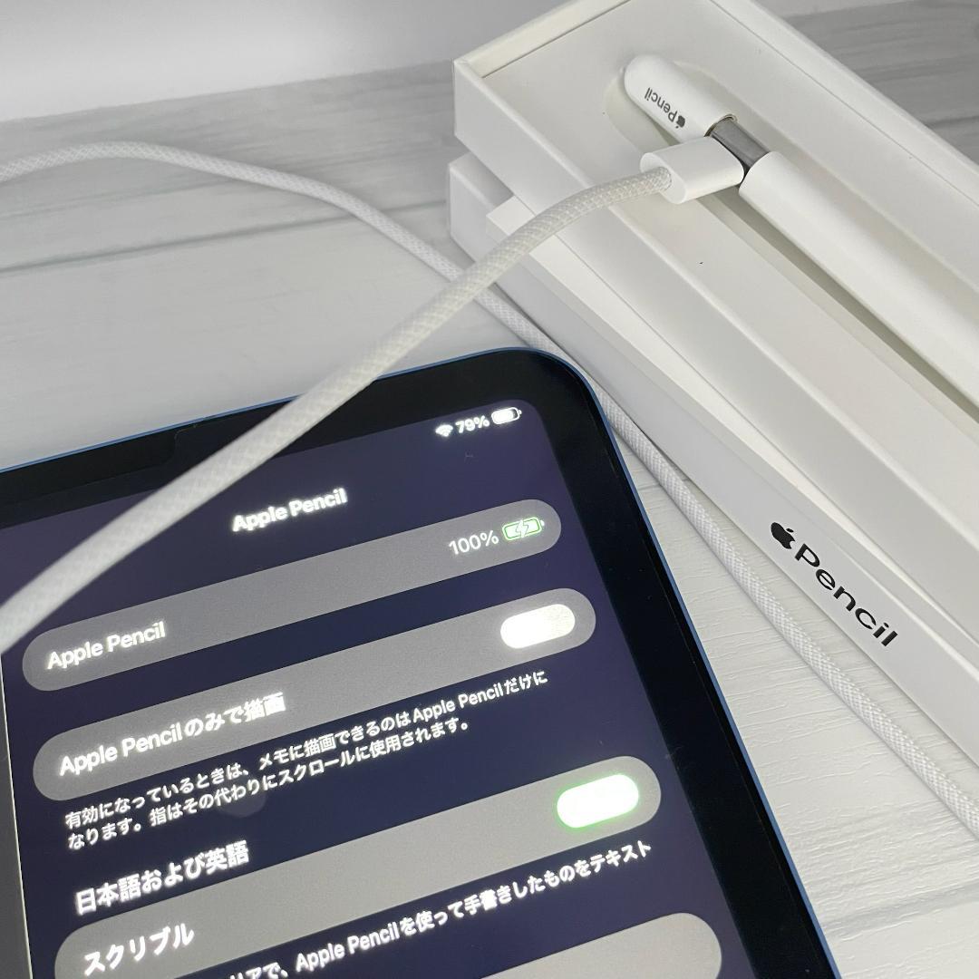 保証あり【ほぼ未使用】Apple Pencil USB-C 替え芯セット