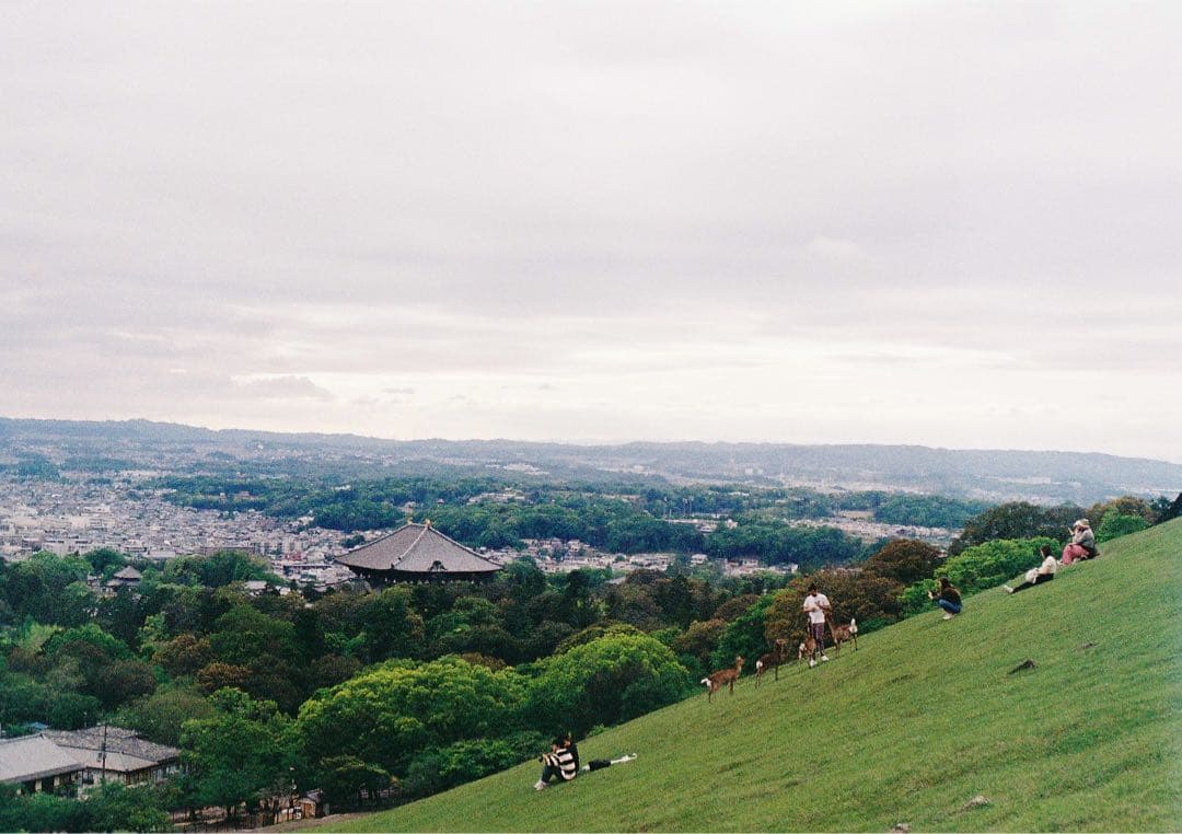 Canon AE-1 シルバー + FD 50mm F1.8 セット