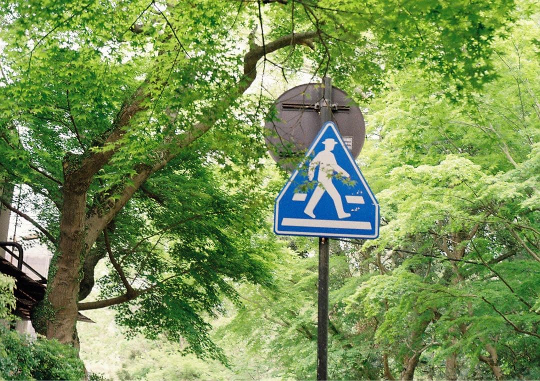 Canon AE-1 シルバー + FD 50mm F1.8 セット